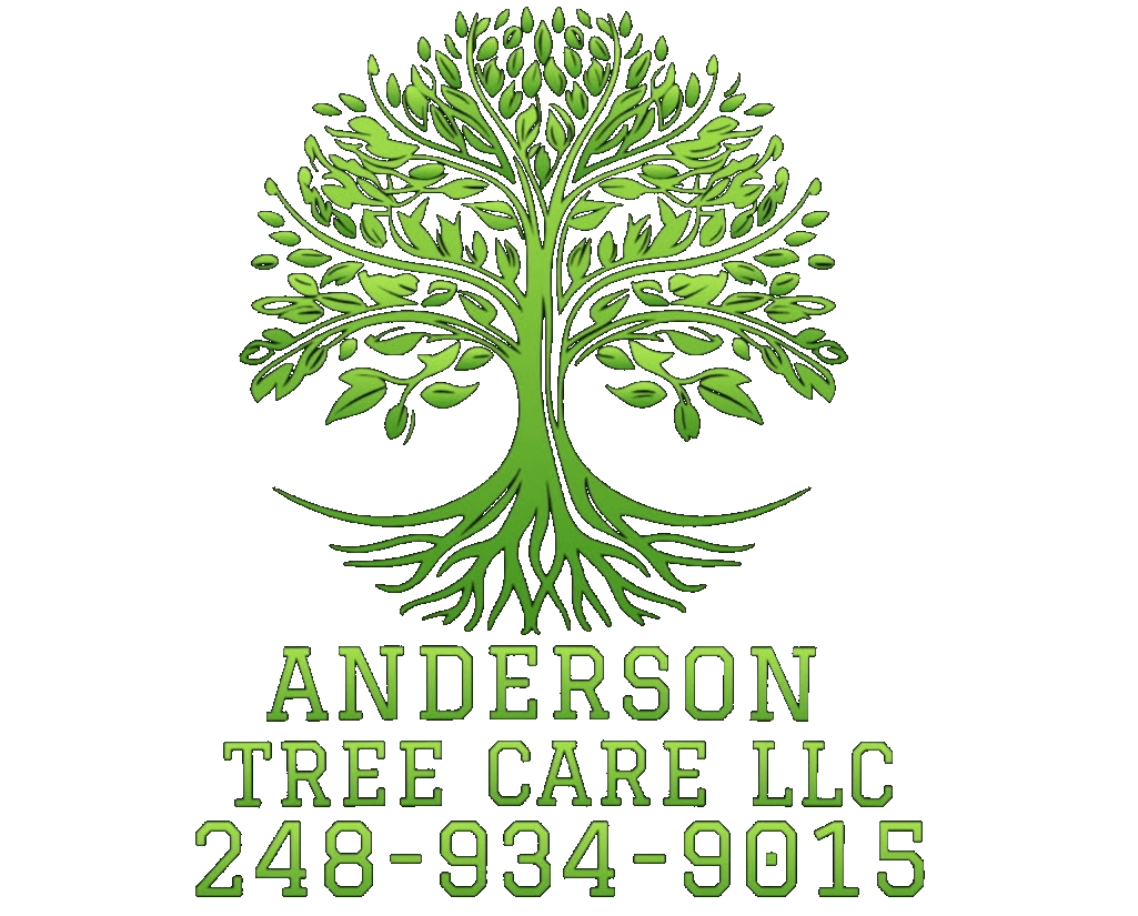 Anderson Tree Care LLC
