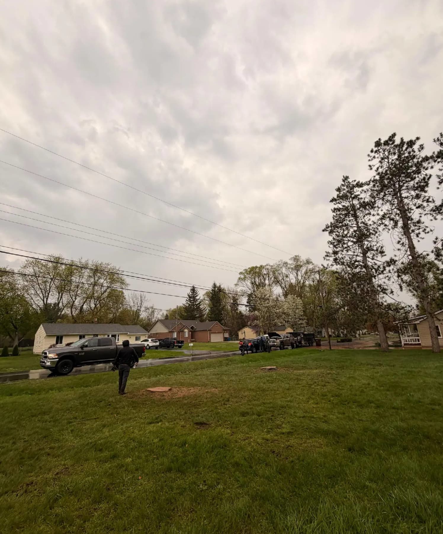Tree Removal — after