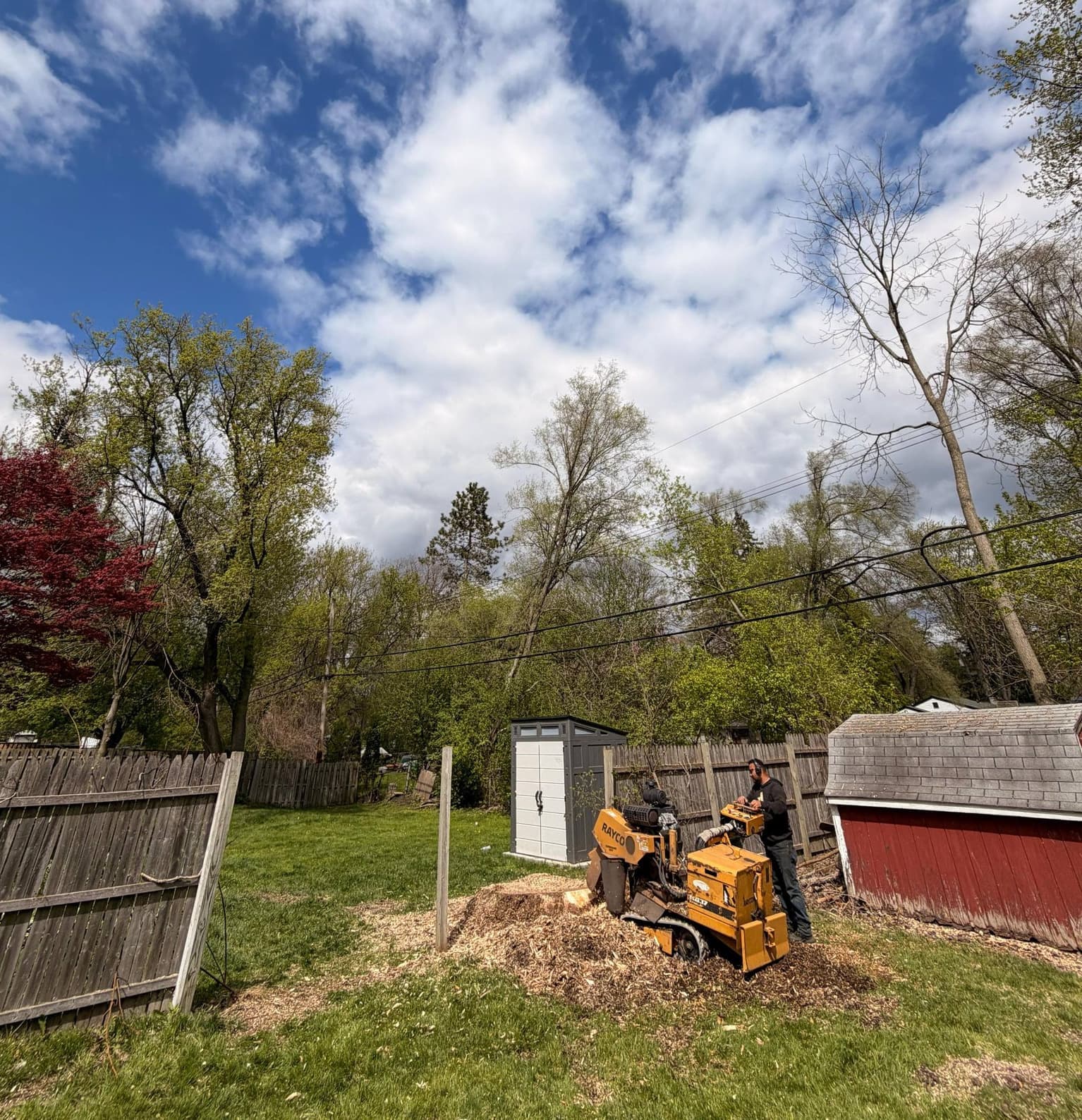 Stump Grinding